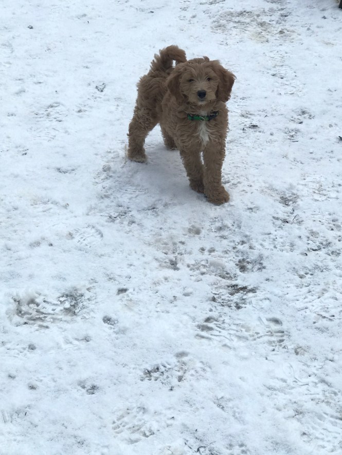 135b0a61-620b-4915-a13f-2c4e2d335160